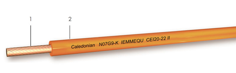 Click to view the big picture